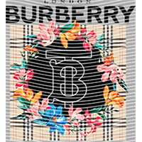 Brand Catalog-ZX 342